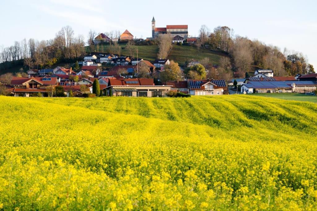 Ferienwohnung Anita Jandelsbrunn Esterno foto