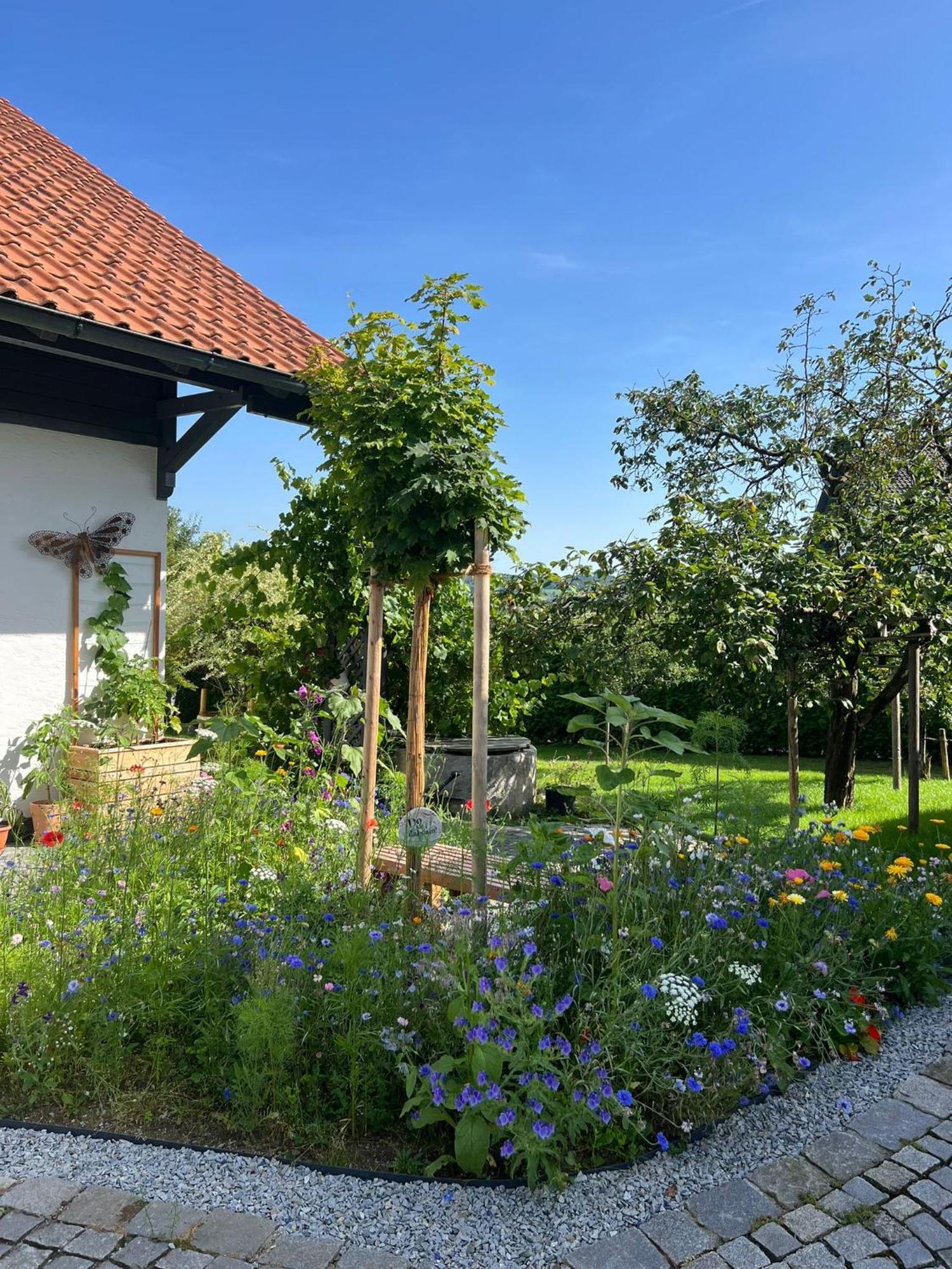 Ferienwohnung Anita Jandelsbrunn Esterno foto